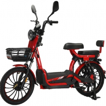 48V 60V 20A Lead-Acid Battery Electric Bicycle 800W High Power E-Bike 20 Inch Electric Motorcycle with Front Basket