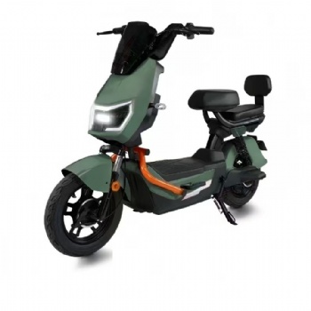 Off-Road Style Army Green Electric Bicycle 48V E-Bike Sports City Moped Scooter with Orange Bumper Skeleton and Passenger Backrest Adult Electric Bike